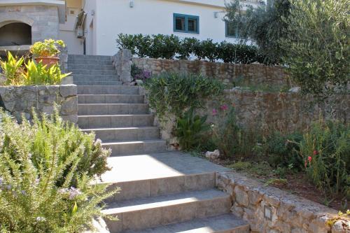 Apartment Jelsa 5723a