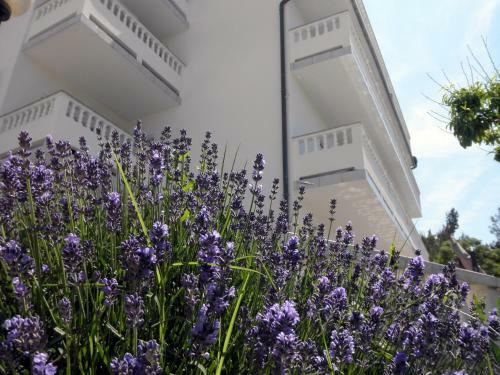 Apartments Ivana