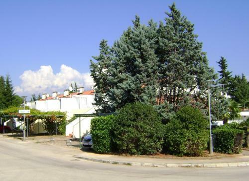 Apartman Rona Barbariga