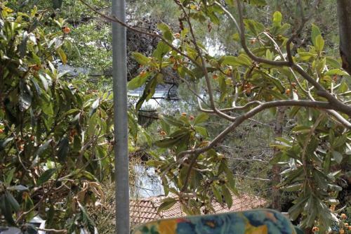 Apartment Mali Losinj 7953a