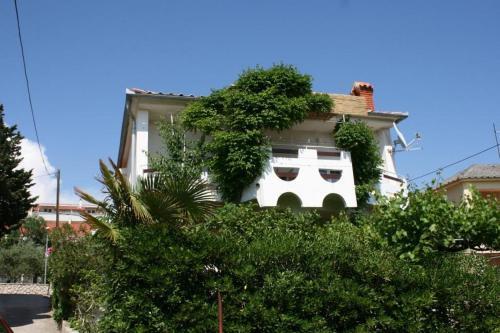 Apartment Novalja 6483a