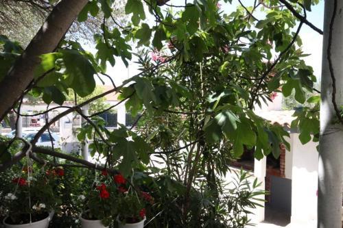 Apartment Biograd Na Moru 858b