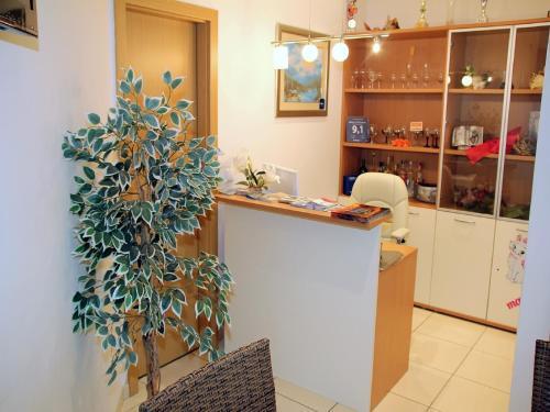Apartments Villa Katarina