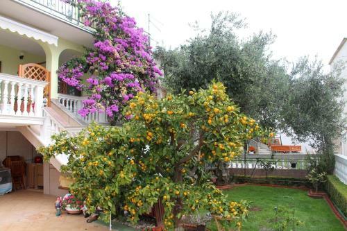 Apartment Vodice 6271c
