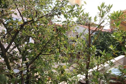 Apartment Porec 7023c