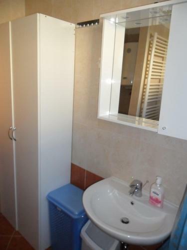 Vile Park Apartment