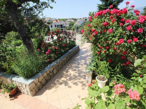 Hostal Apartments Dragica C.