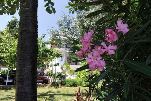 Hostal Guesthouse Stanger Lovran