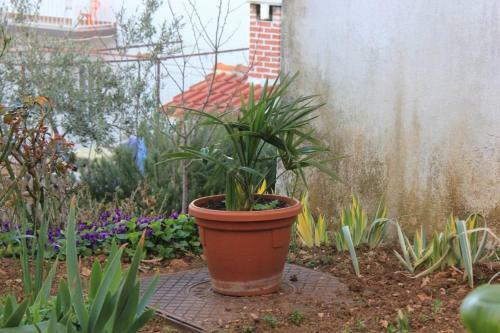 Apartment Mastrinka 7582a