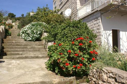 Apartment Lumbarda 4440a