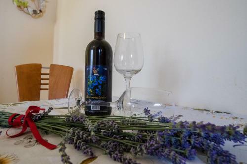 Apartment In Supetarska Draga 16064