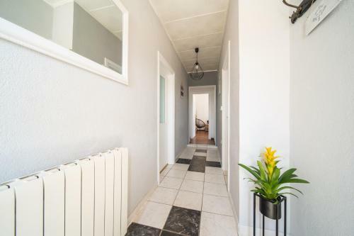 Apartment Matteo