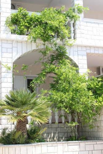 Apartment Stara Novalja 6469d