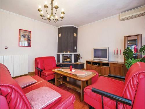 Five-bedroom Apartment Viskovo 05