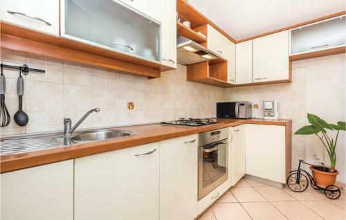 Five-bedroom Apartment Viskovo 05