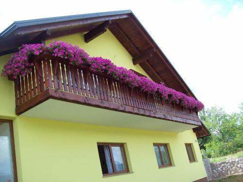 Hostal House Mara