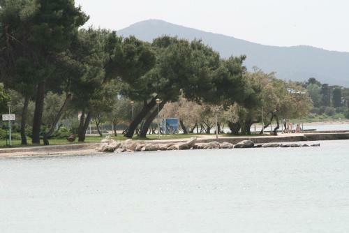 Apartment Lorka