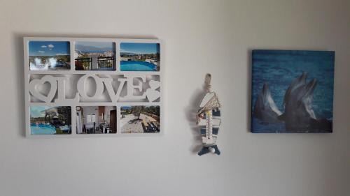 Apartment Mucic
