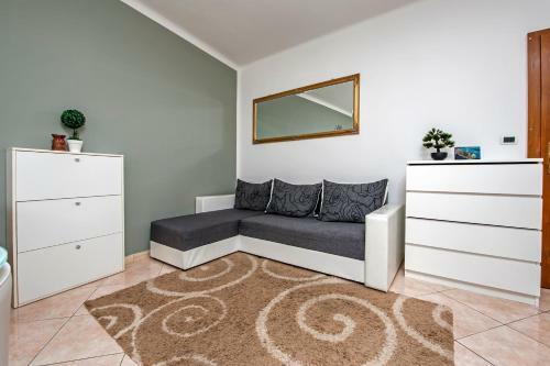 Apartment Rogi?