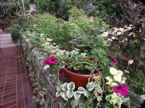 Apartment Zaton Veliki 2122a