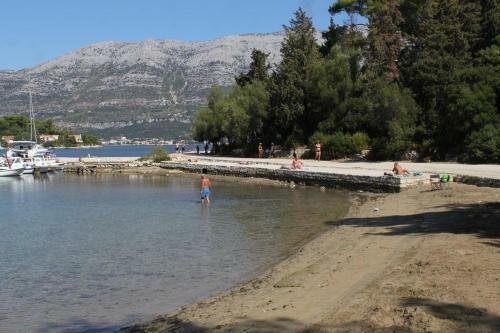Apartment Korcula 10051a