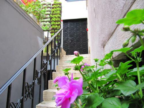 Borelli Palace Deluxe Apartments