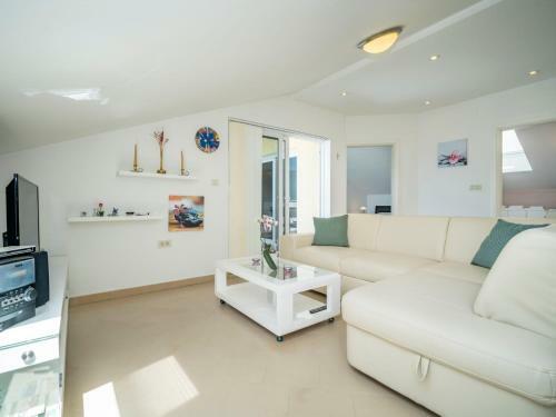 Apartment Branko.1