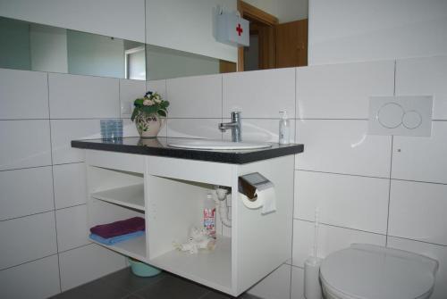 Apartment Stupin Celine 11724a
