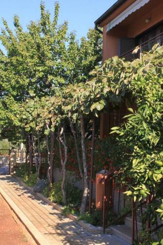 Apartment Fazana 7237b