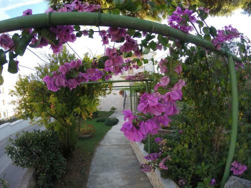 Apartamentos House Helena