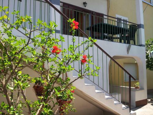 Apartments Fredy