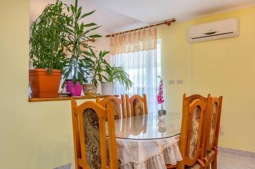 Apartment Mirjana