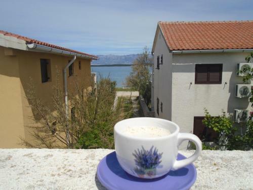 Apartment Selman