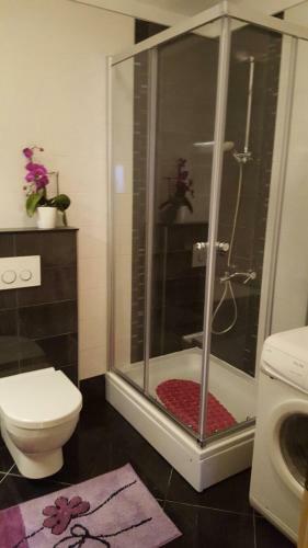 Apartament Rubin
