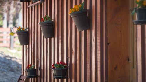 Hostal Guest House Rustico