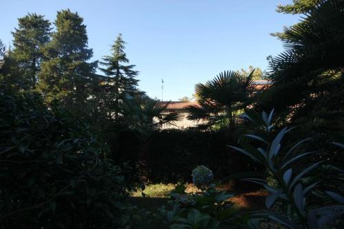 Apartment Novigrad 7335b