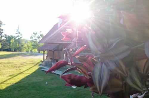 Hostal Rustic Home Mia