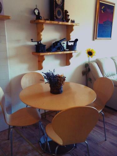 Apartment Fortuna