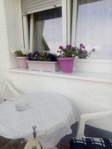 Hostal Guest House Olbina