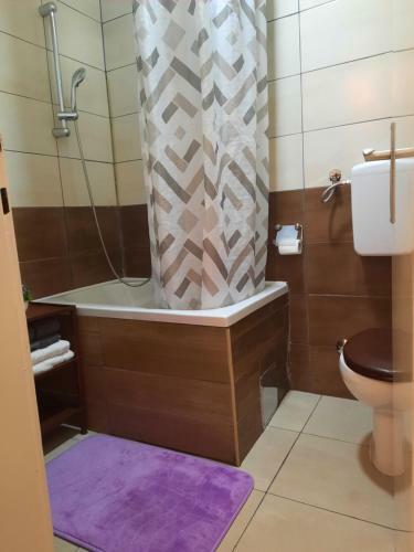Hostal Guest House Olbina