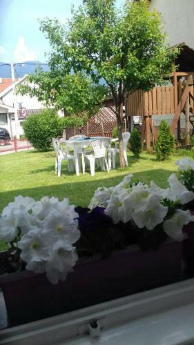 Hostal Guest House Olbina