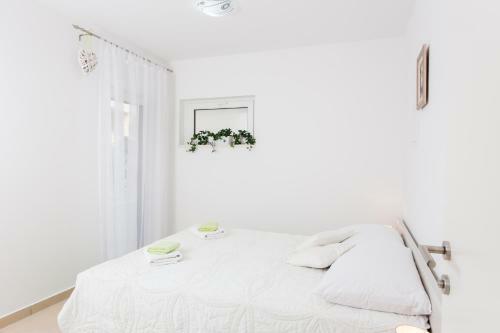 Apartment Pekoc