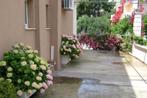 Apartment Podgora 2615e