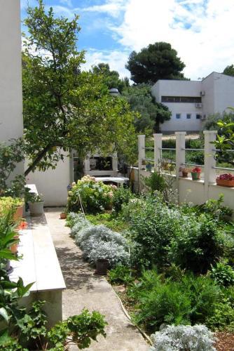 Apartment Podgora 2615e