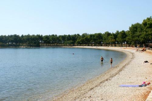 Apartment Novigrad 2536d