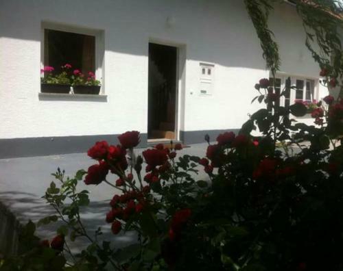 Hostal Guest House First Stop