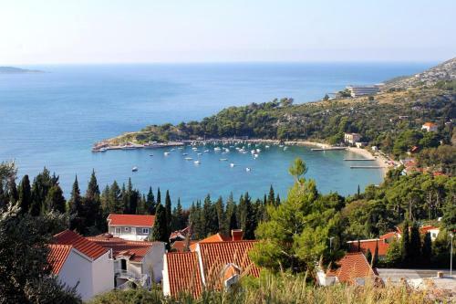 Hostal Twin Room Srebreno 8959a