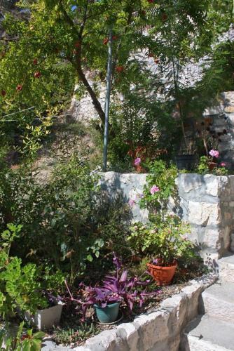 Apartment Hvar 3229c