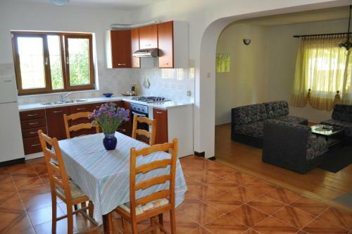 Apartment Drenovica