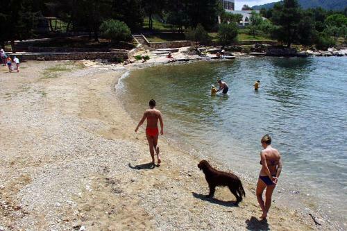 Apartment Stari Grad 8762a